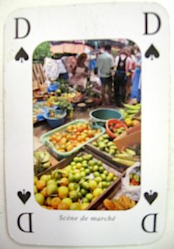 #535card