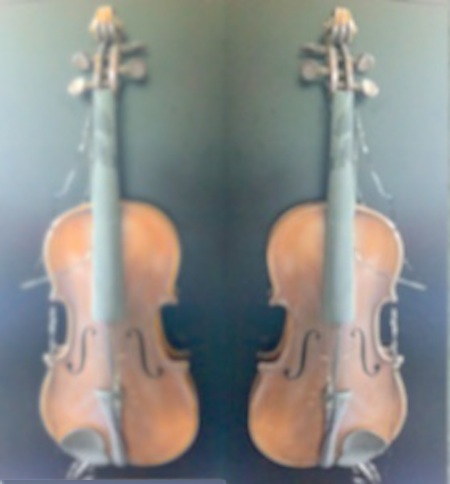 violins