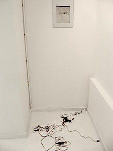 käämer 12
