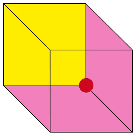 Necker Cube