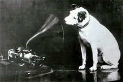 Dog and Phonograph