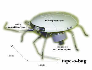 tape-o-bug